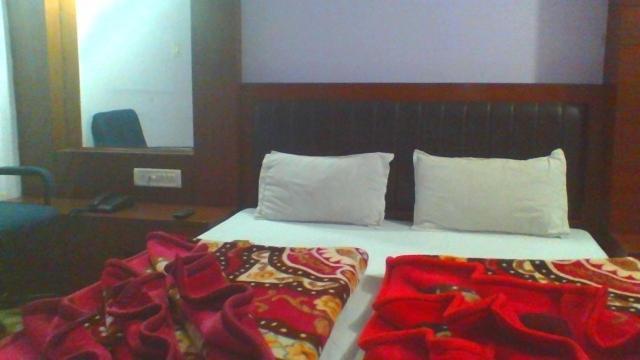 Sahara International Deluxe Hotel Ню Делхи Стая снимка