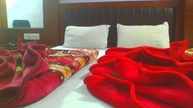 Sahara International Deluxe Hotel Ню Делхи Стая снимка